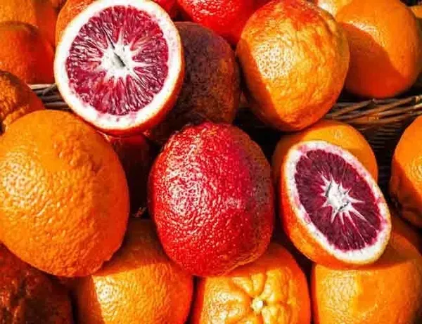 Mirisno ulje Bourbon & Blood orange 30 ml